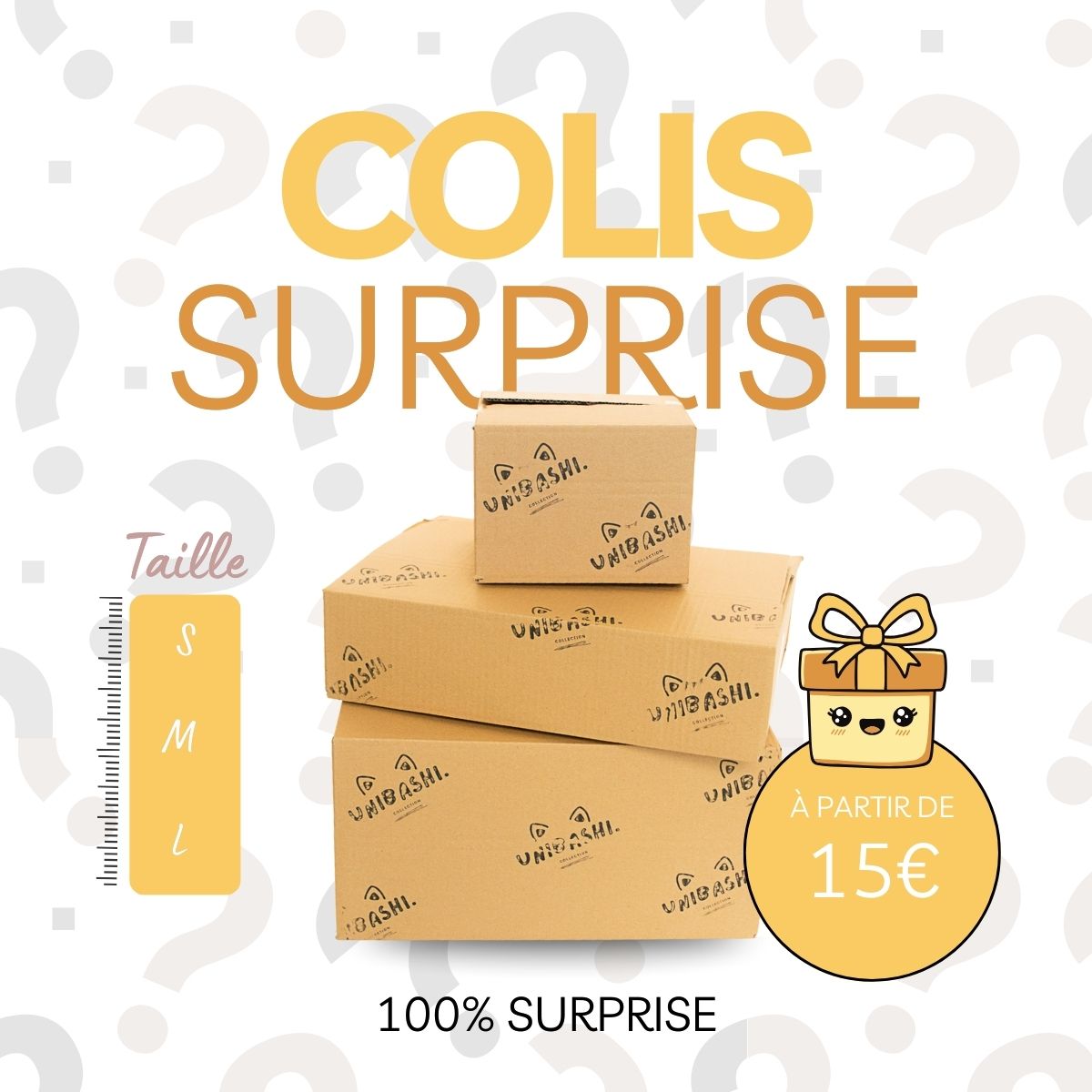 Colis 100% Surprise