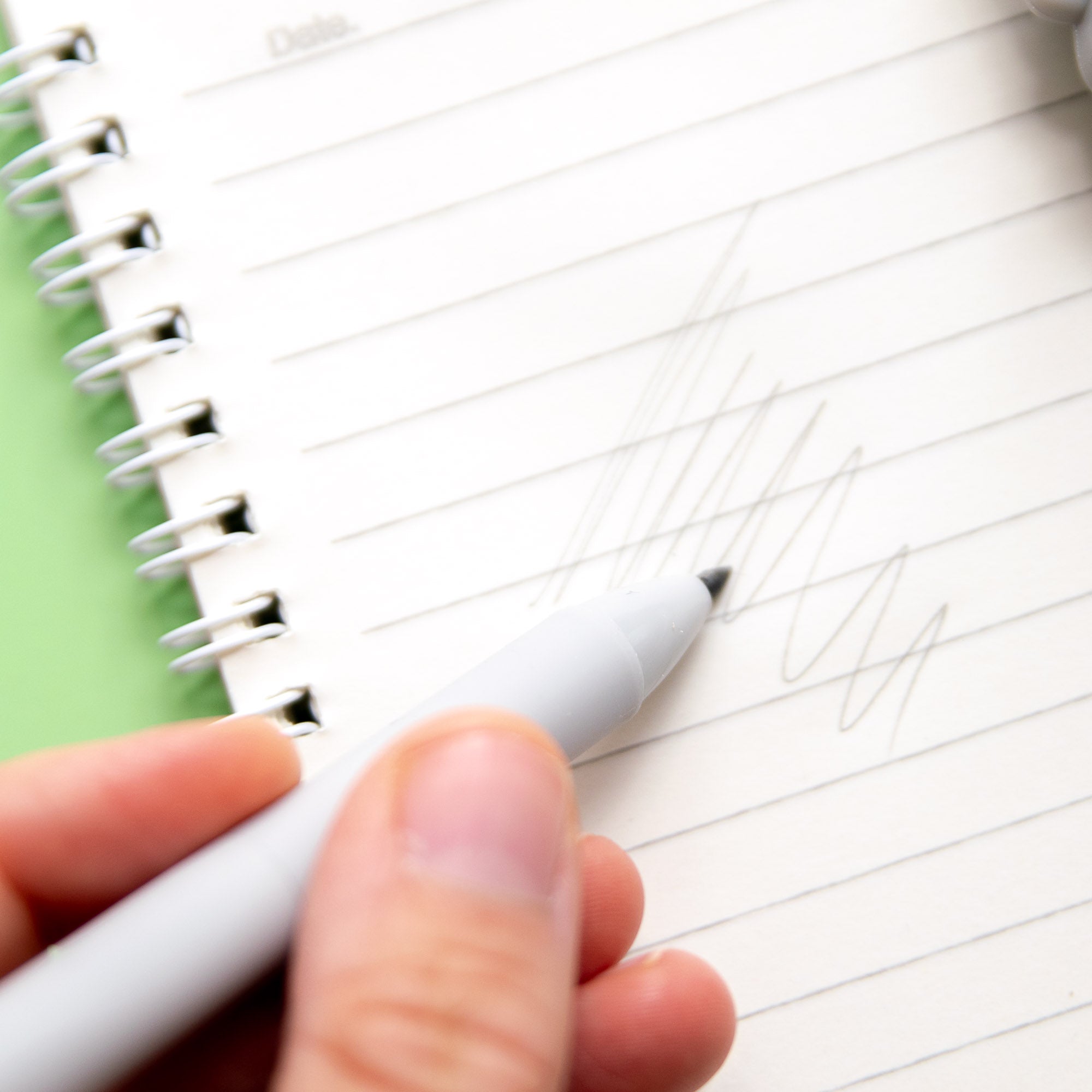 Crayon Koala Kawaii - Mine Eternelle