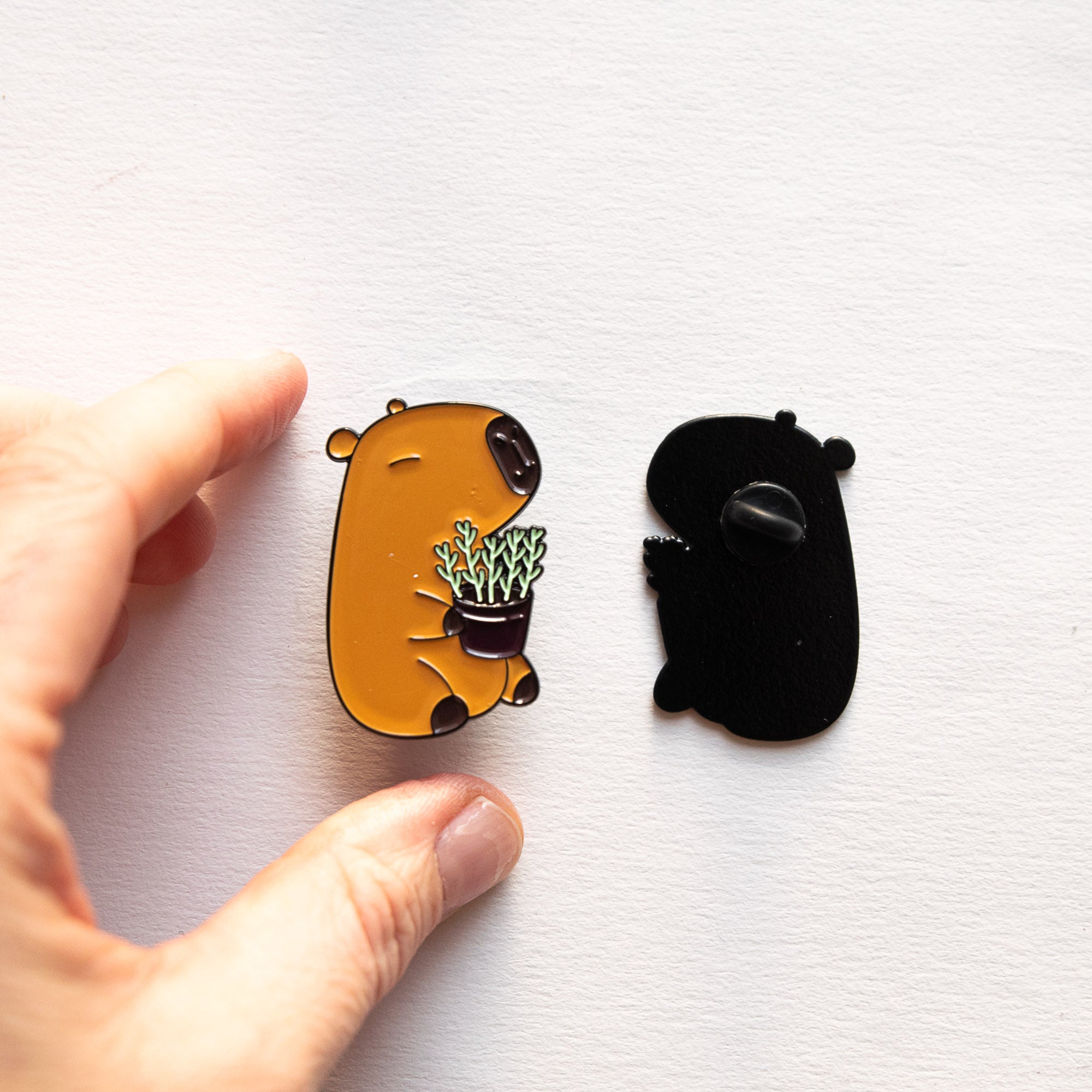 Pin's Capybara & son pot de Thym