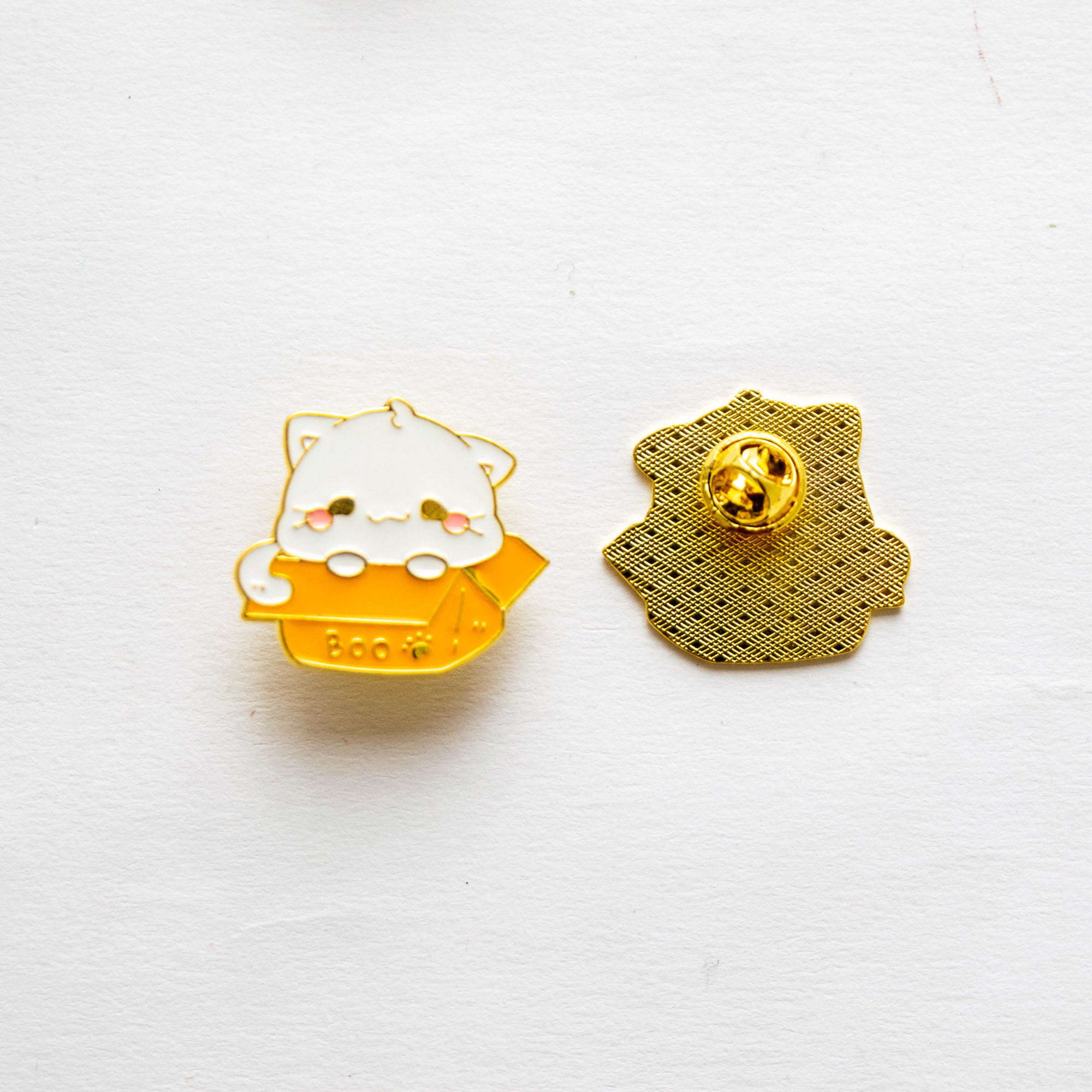 Pin's Chat Caché