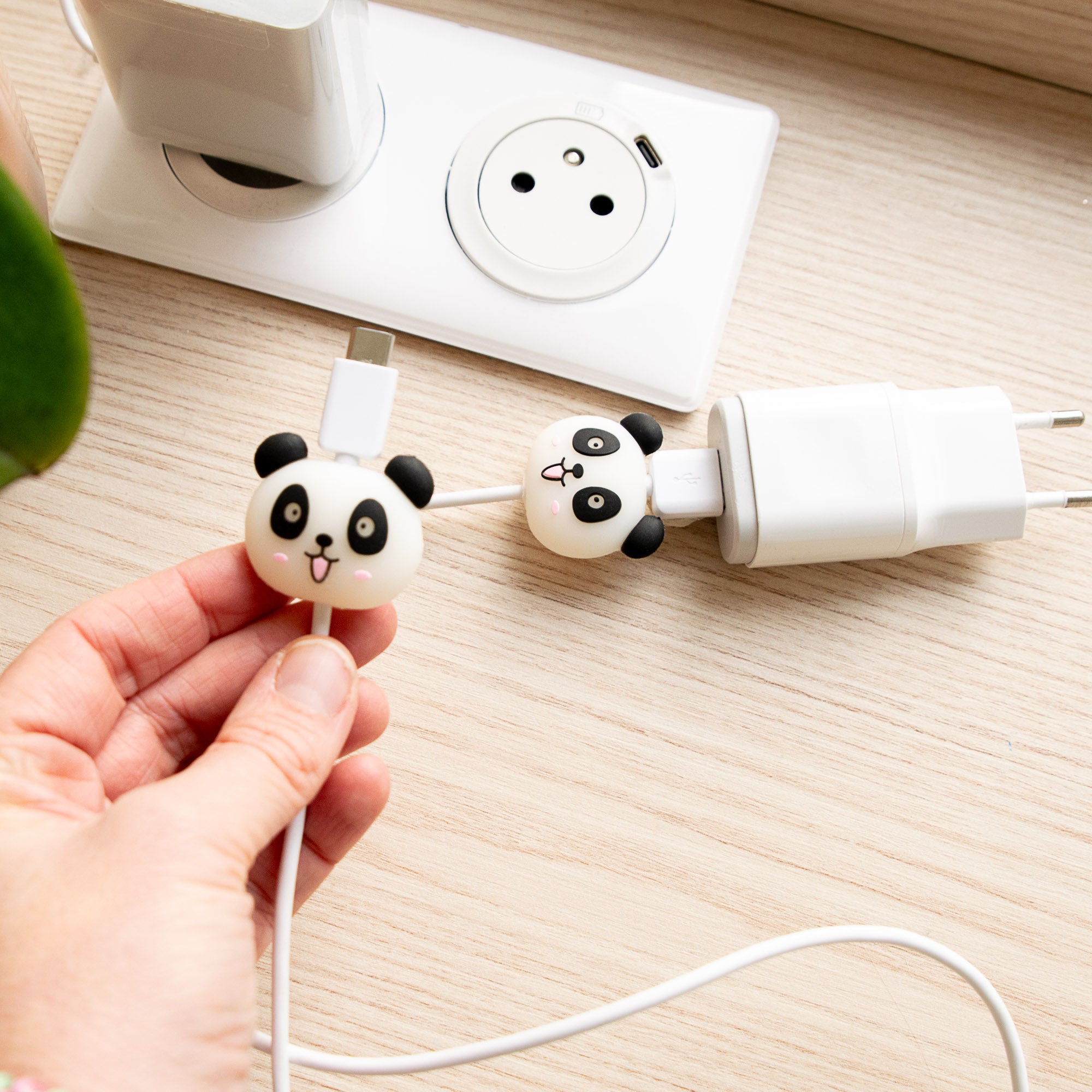 Protège-câble Panda Kawaii USB