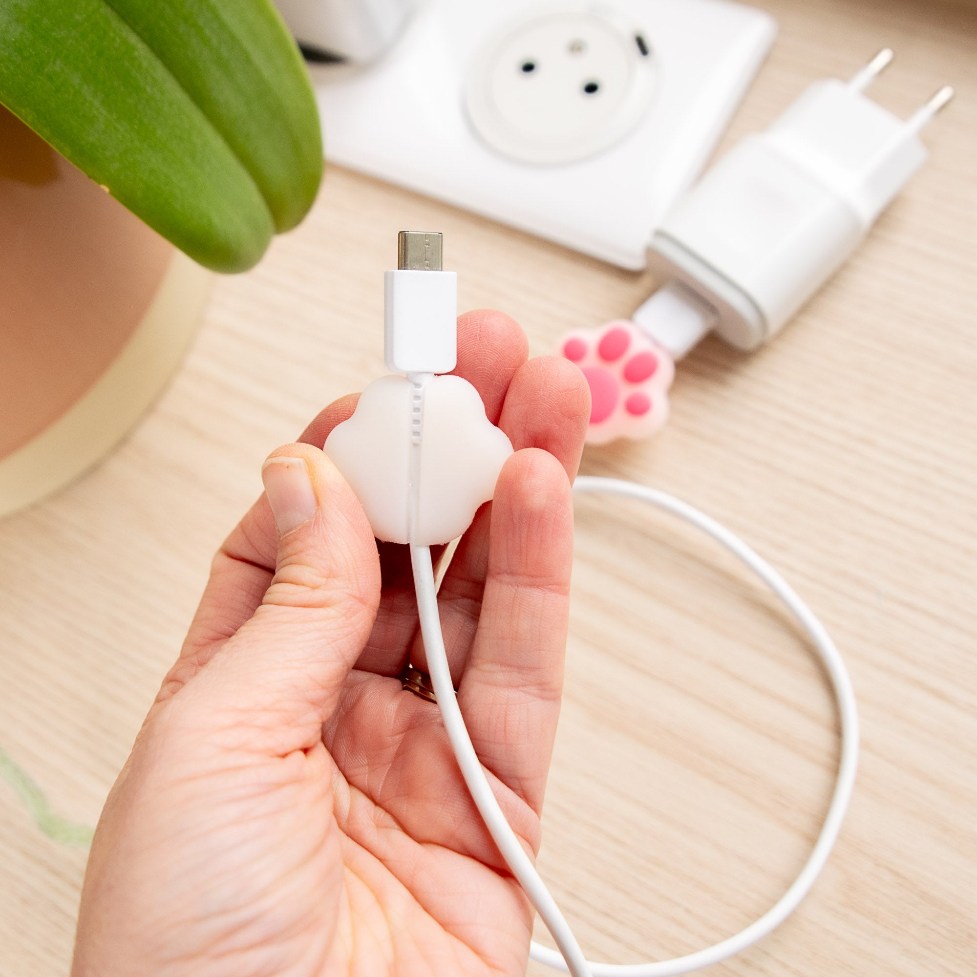 Protège-câble Kawaii USB Patte de Chat