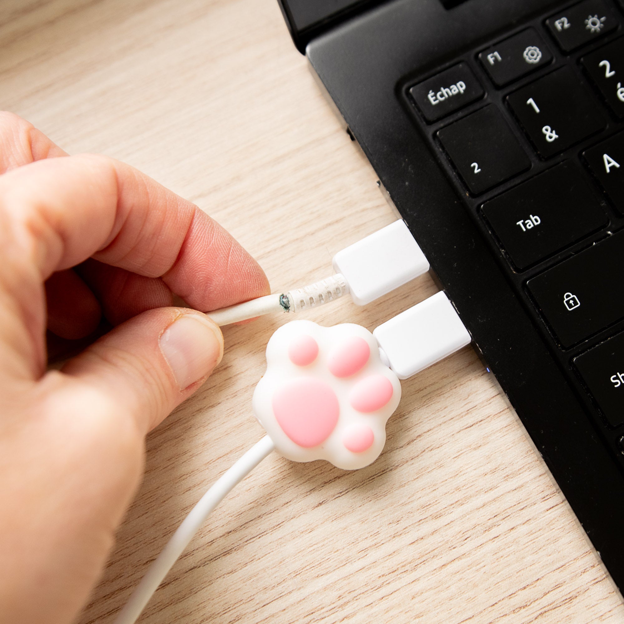 Protège-câble Kawaii USB Patte de Chat