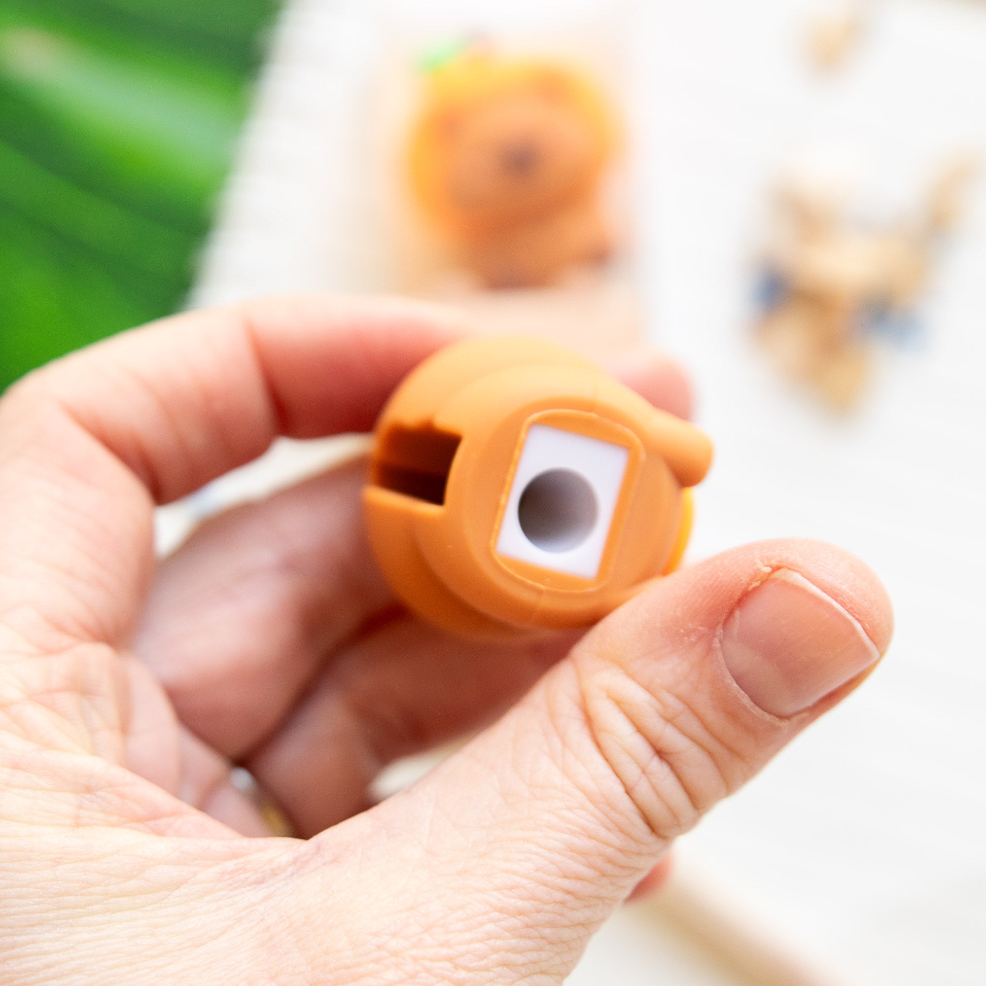 Taille-Crayon Kawaii Capybara